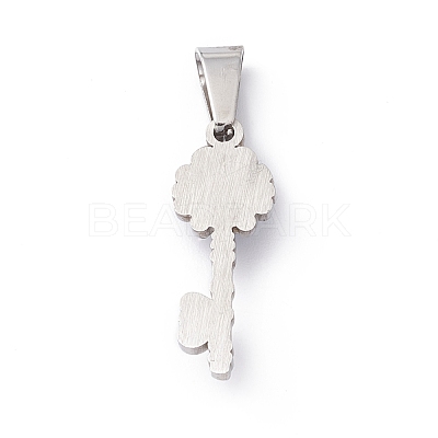 304 Stainless Steel Resin Pendants STAS-A062-14P-1