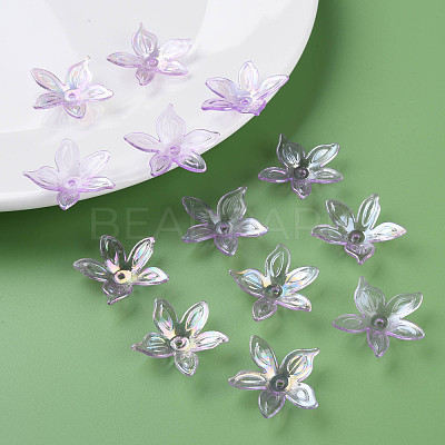 Transparent Acrylic Beads MACR-S373-102-C03-1
