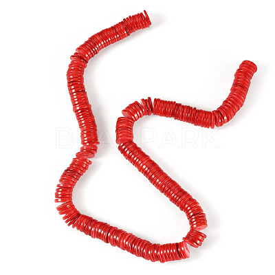 1 Strand Natural Freshwater Shell Beads Strands SHEL-TA0001-35C-1