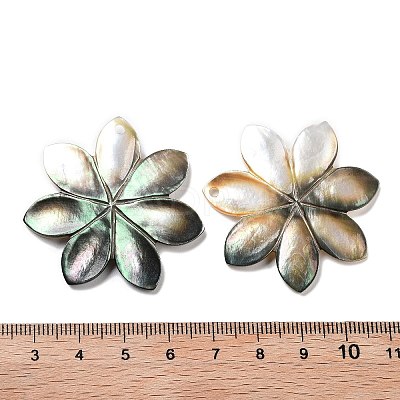Natural Freshwater Shell Pendants SHEL-D082-08B-1
