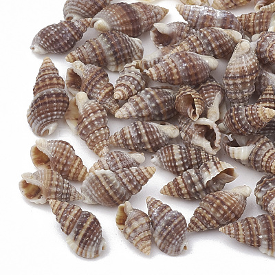 Sea Shell Beads X-SSHEL-S258-03-1