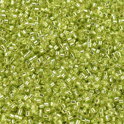 MIYUKI Delica Beads Small X-SEED-J020-DBS0147-1