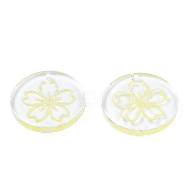Transparent Resin Pendants RESI-N030-004E-1