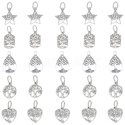 Tibetan Style Alloy Pendants TIBEP-PH0005-12AS-1