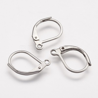 Tarnish Resistant 316 Surgical Stainless Steel Leverback Earring Findings X-STAS-P113-01-1