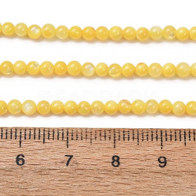Dyed Natural Freshwater Shell Beads Strands SH-CBA2978-07C-01-1