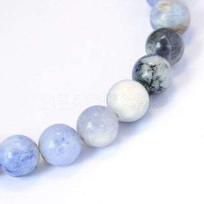 Natural Sodalite Round Bead Strands X-G-E334-6mm-08-1