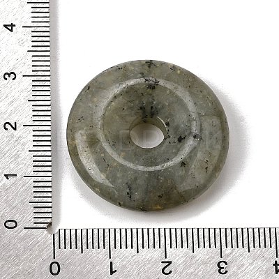 Natural Labradorite Pendants G-F820-13A-03-1