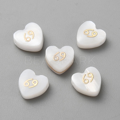 5Pcs Natural White Shell Beads LS-BSHE-TAC0004-02F-1