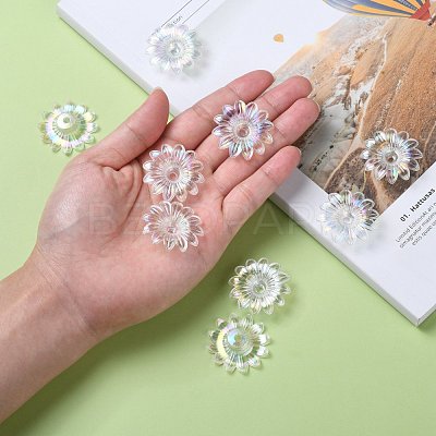 Transparent Acrylic Beads TACR-R14-9-1