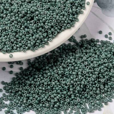 MIYUKI Round Rocailles Beads SEED-JP0010-RR4481-1