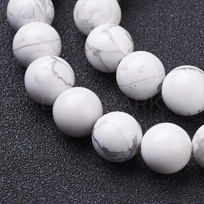 Natural Howlite Beads Strands X-GSR12mmC015-1