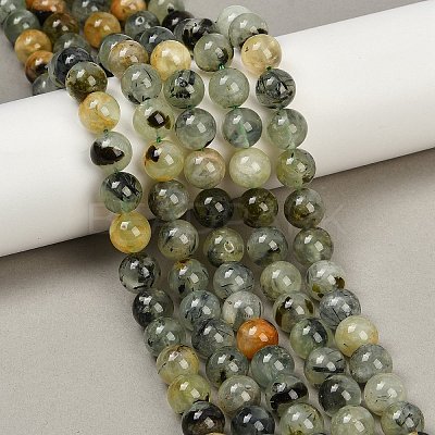 Natural Prehnite Beads Strands G-P322-48-10mm-01-1