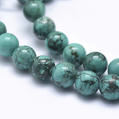 Natural Magnesite Beads Strands TURQ-G148-06-6mm-1