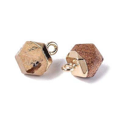 Natural Picture Jasper Pendants G-N359-18G-13-1