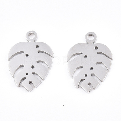 Non-Tarnish 304 Stainless Steel Charms STAS-S107-05P-1