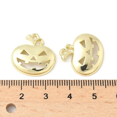 Alloy Pendants FIND-B047-02B-G-1