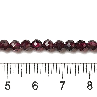 Natural Garnet Beads Strands G-F460-28-01-1