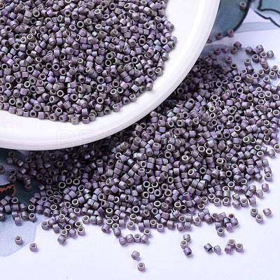 MIYUKI Delica Beads X-SEED-J020-DB1065-1