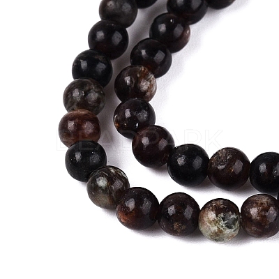 Natural Biotite Beads Strands G-Q616-01A-1