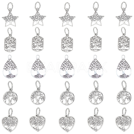 Tibetan Style Alloy Pendants TIBEP-PH0005-12AS-1