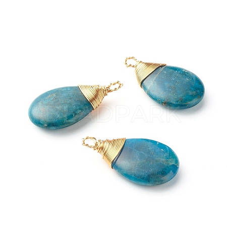 Natural Apatite Pendants X-PALLOY-JF00878-1