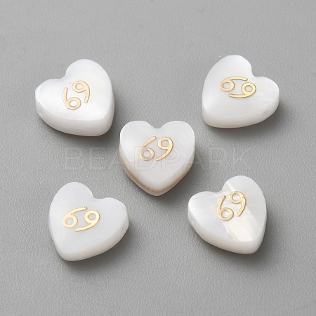 5Pcs Natural White Shell Beads LS-BSHE-TAC0004-02F-1