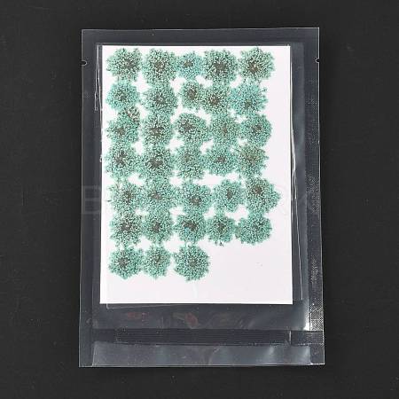 Pressed Dried Flowers DIY-K032-58H-1