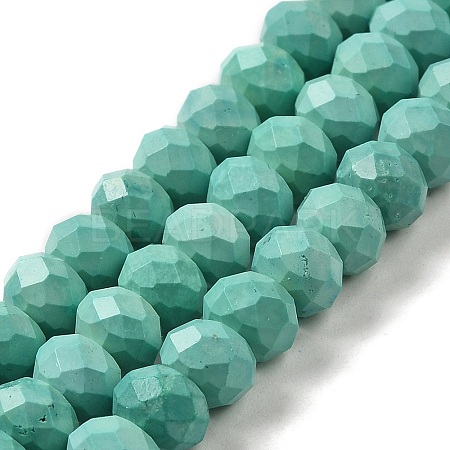 Dyed Natural Howlite Beads Strands G-G023-A01-01C-1