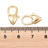 Brass Lobster Claw Clasps KK-H287-08D-G-3