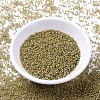 MIYUKI Delica Beads X-SEED-J020-DB2046-2