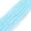 Electroplate Glass Beads Strands EGLA-A034-J2mm-L06-1