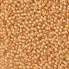 TOHO 11/0 Round Beads X-SEED-TR11-0984-2