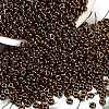 TOHO 6/0 Demi Round Beads Y-SEED-DR06-0224-2