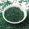MIYUKI Round Rocailles Beads SEED-X0055-RR0354-2