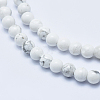 Natural Howlite Beads Strands X-G-P353-01-6mm-3