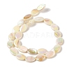 Natural Freshwater Shell Beads Strands BSHE-H018-06-2