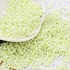Baking Paint Glass Seed Beads X-SEED-S042-15B-24-1