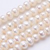 Natural Cultured Freshwater Pearl Beads Strands PEAR-F004-08-01-1