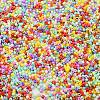 Baking Paint Glass Seed Beads X-SEED-S042-05B-50-3