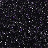 Transparent Colours Glass Seed Beads SEED-P006-02A-12-3