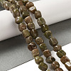 Natural Unakite Beads Strands G-B078-D25-01-2