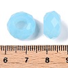 Glass European Beads GDA007-91-3