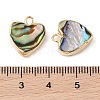 Natural Paua Shell Heart Charms with Brass Edge SHEL-P017-19G-3