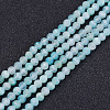 Natural Amazonite Beads Strands G-P278-09-2mm-1