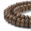 Natural Fossil Coral Beads Strands G-H269-04-3