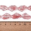 Handmade Lampwork Beads Strands LA-N046-02I-4