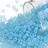TOHO Round Seed Beads SEED-XTR08-1143-1