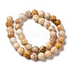 Natural Crazy Lace Agate Beads Strands G-H298-A12-04-3
