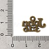 Tibetan Style Alloy Pendants EA9098Y-AB-3
